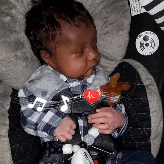 Rebornartdoll® Newborn Baby Dolls