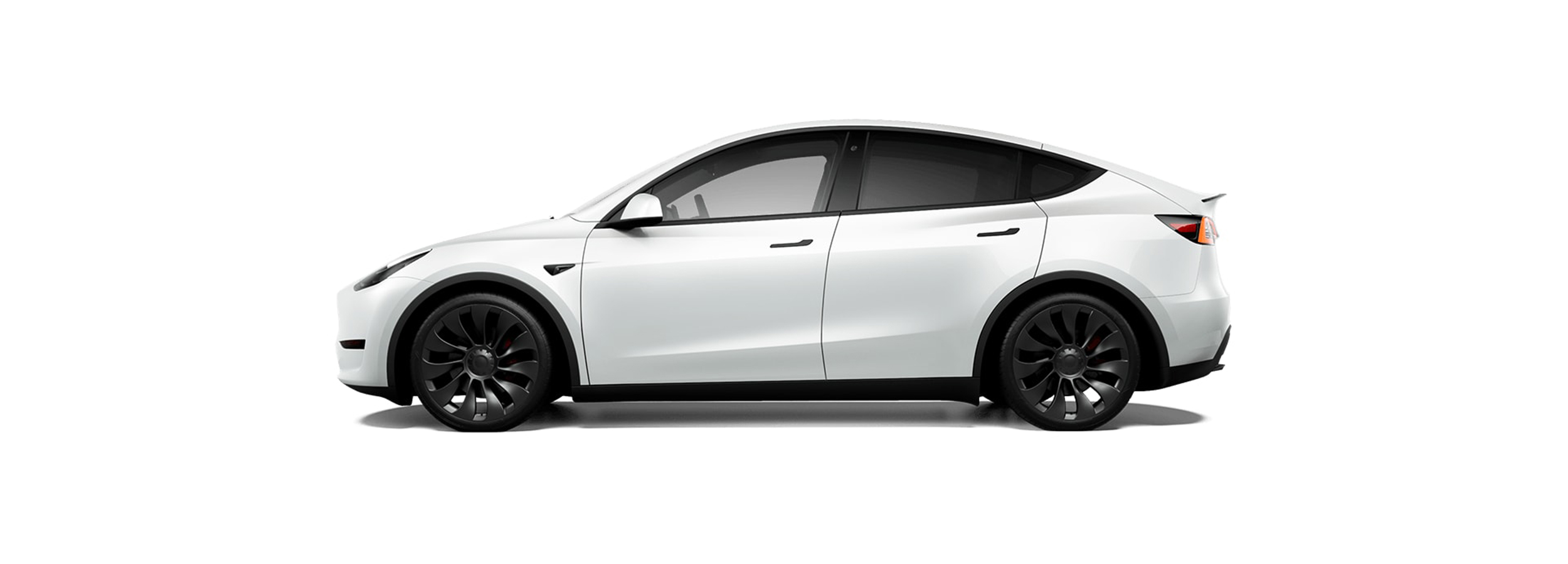 Model Y