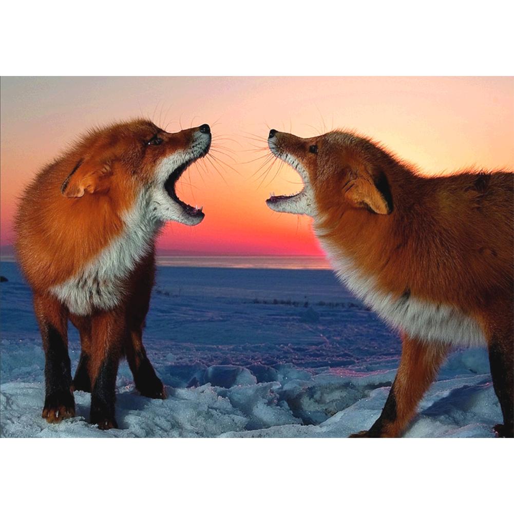 What Do Fox Barks Mean at Ursula Parsons blog