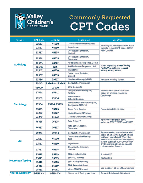 Speech Therapy Cpt Codes 2024 Alyse Bertine