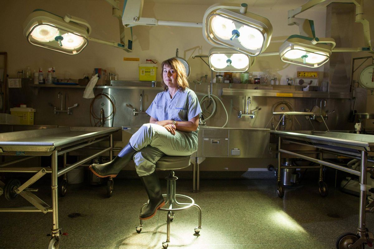 6 Different Forensic Pathology Programs In The US Steve Gallik