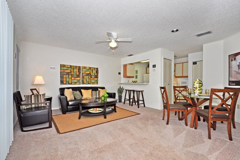 The Polos Apartments Gainesville Swamp Rentals