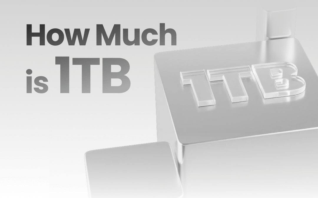 How Much Is 1TB 1 Terabyte of Storage in GB/MB [With Cost]