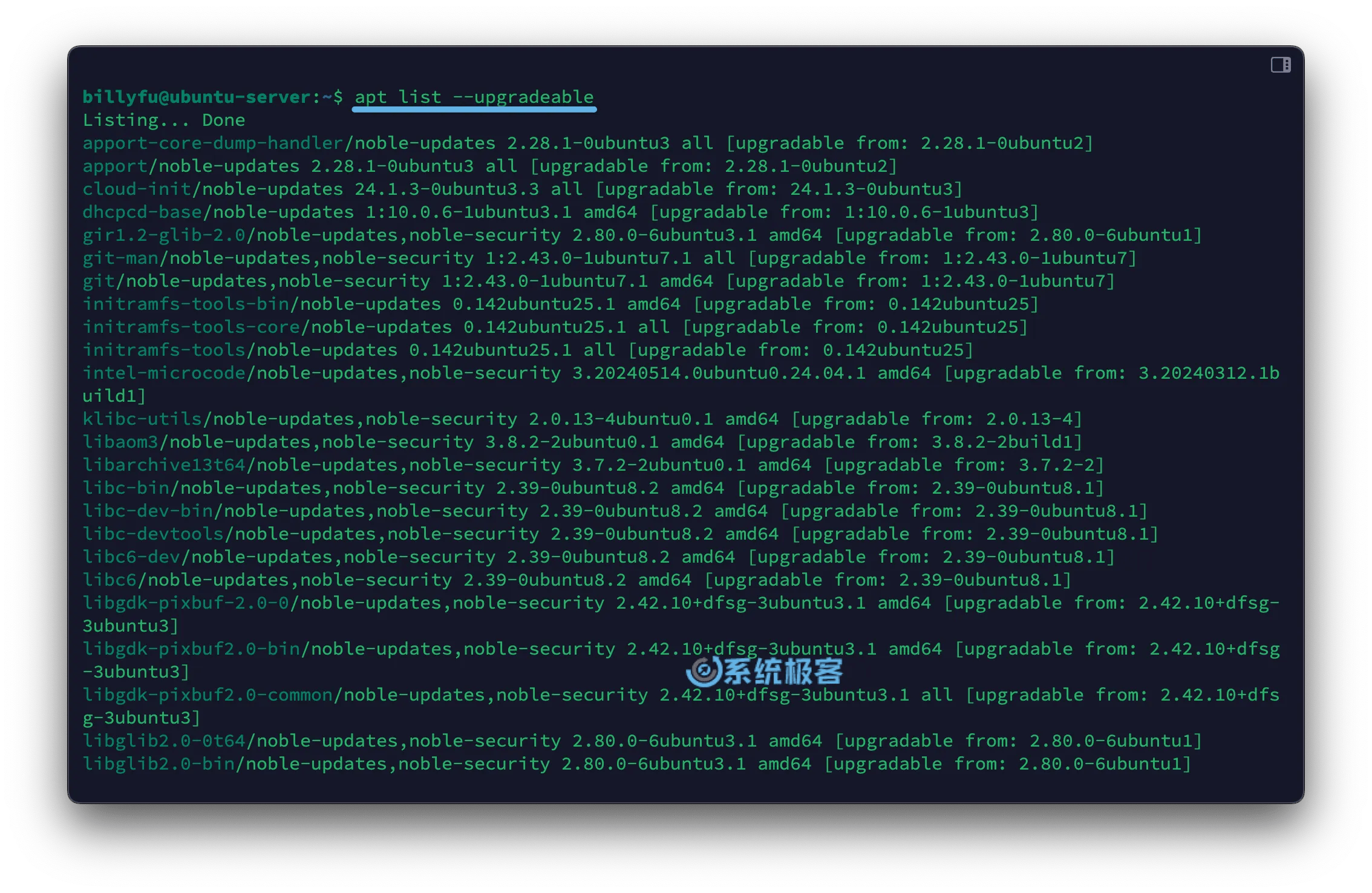 Linux APT 命令实战教程：Ubuntu、Debian、Mint 用户必备指南 系统极客