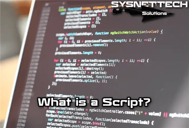 What is a Script? Definition & Functions!