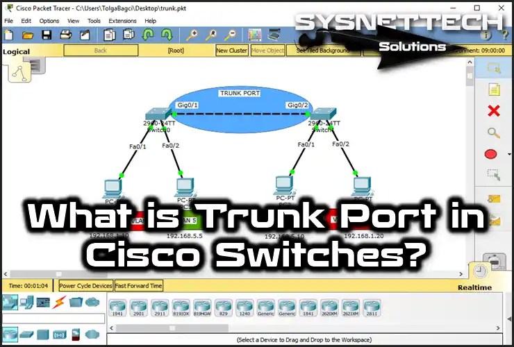 What is a Trunk Port? Definition & Connection!