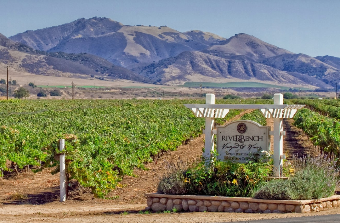 大麻种植园竟然跟加州名庄抢地盘？知味葡萄酒