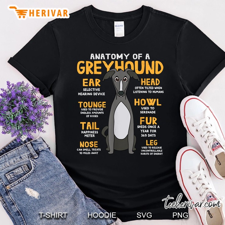 Greyhound Anatomy Anatomy Drawing Diagram