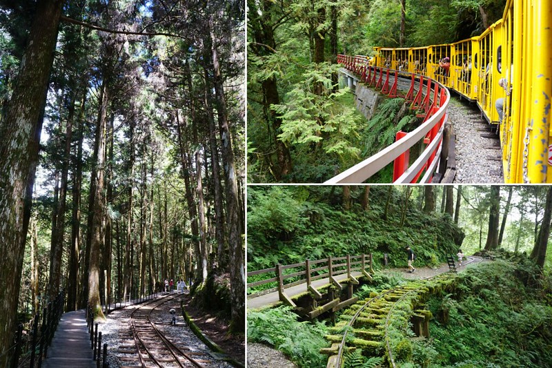 【宜蘭三日遊】Day 1 太平山— 蹦蹦車＋見晴懷古步道