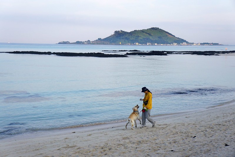 【韓國·濟州島】清晨的挾才海邊 (협재해변) 散步