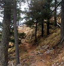 Why Climb Guadalupe Peak? Texas Monthly