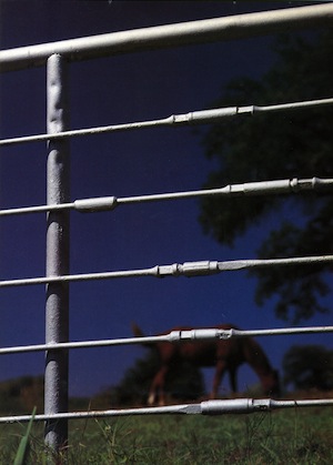 Texas Primer The DrillStem Fence Texas Monthly