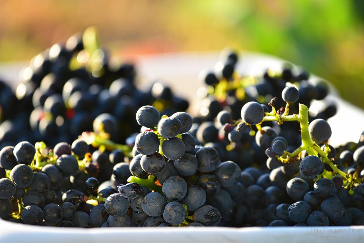 Top Texas Wines Summer 2016 Edition Texas Monthly