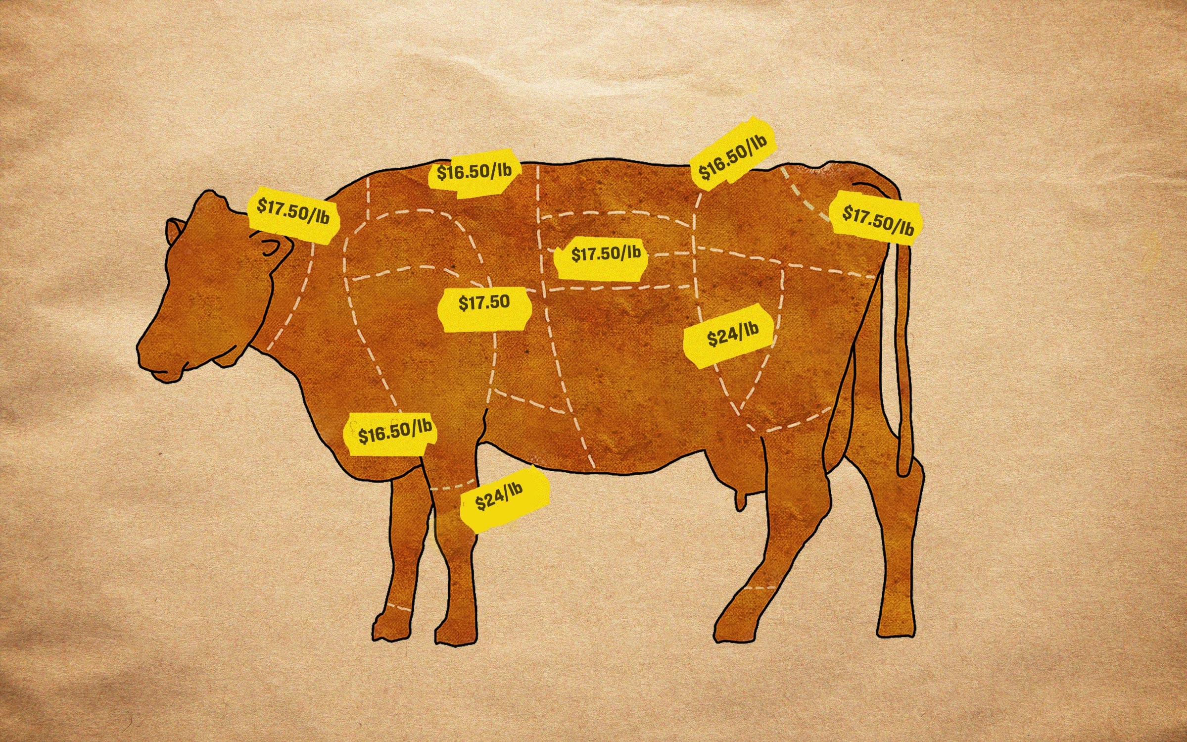 Meat And Bone Meal Cow