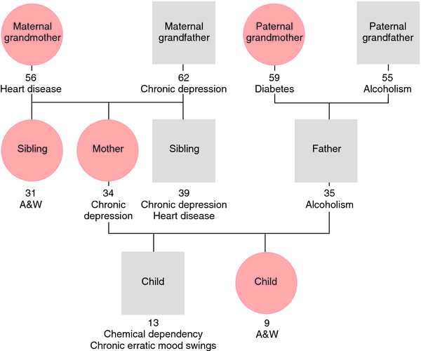 Genogram definition of genogram by Medical dictionary