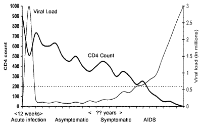 The Course Of Hiv Disease