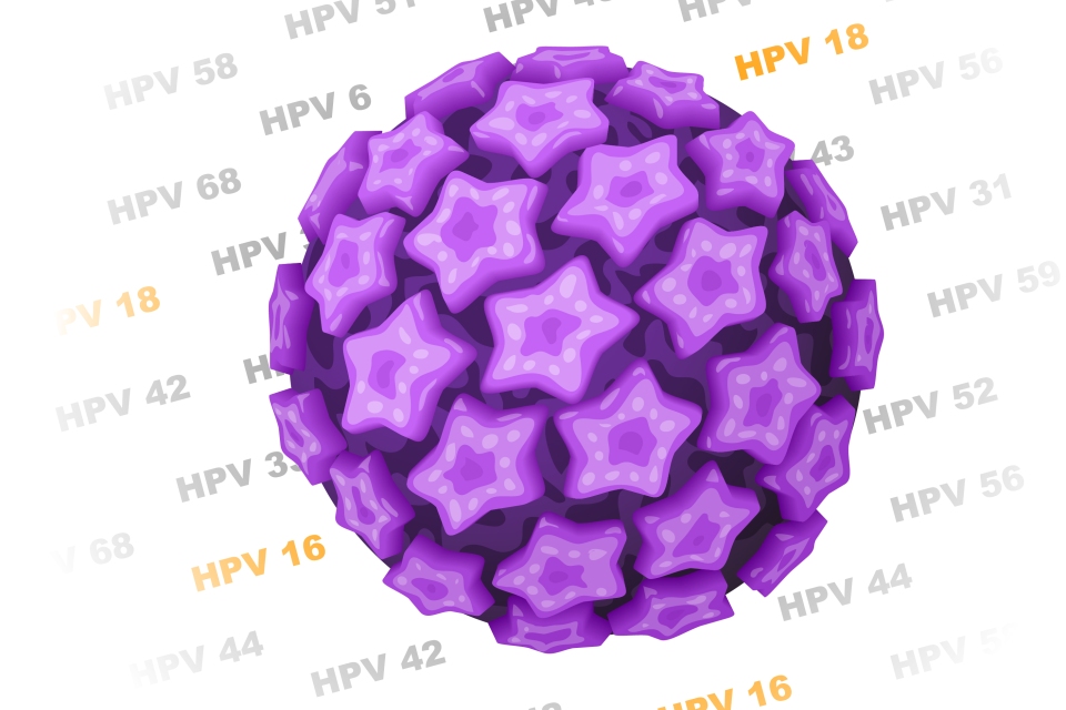 Human Papilloma Virus (HPV) and HIV/AIDS