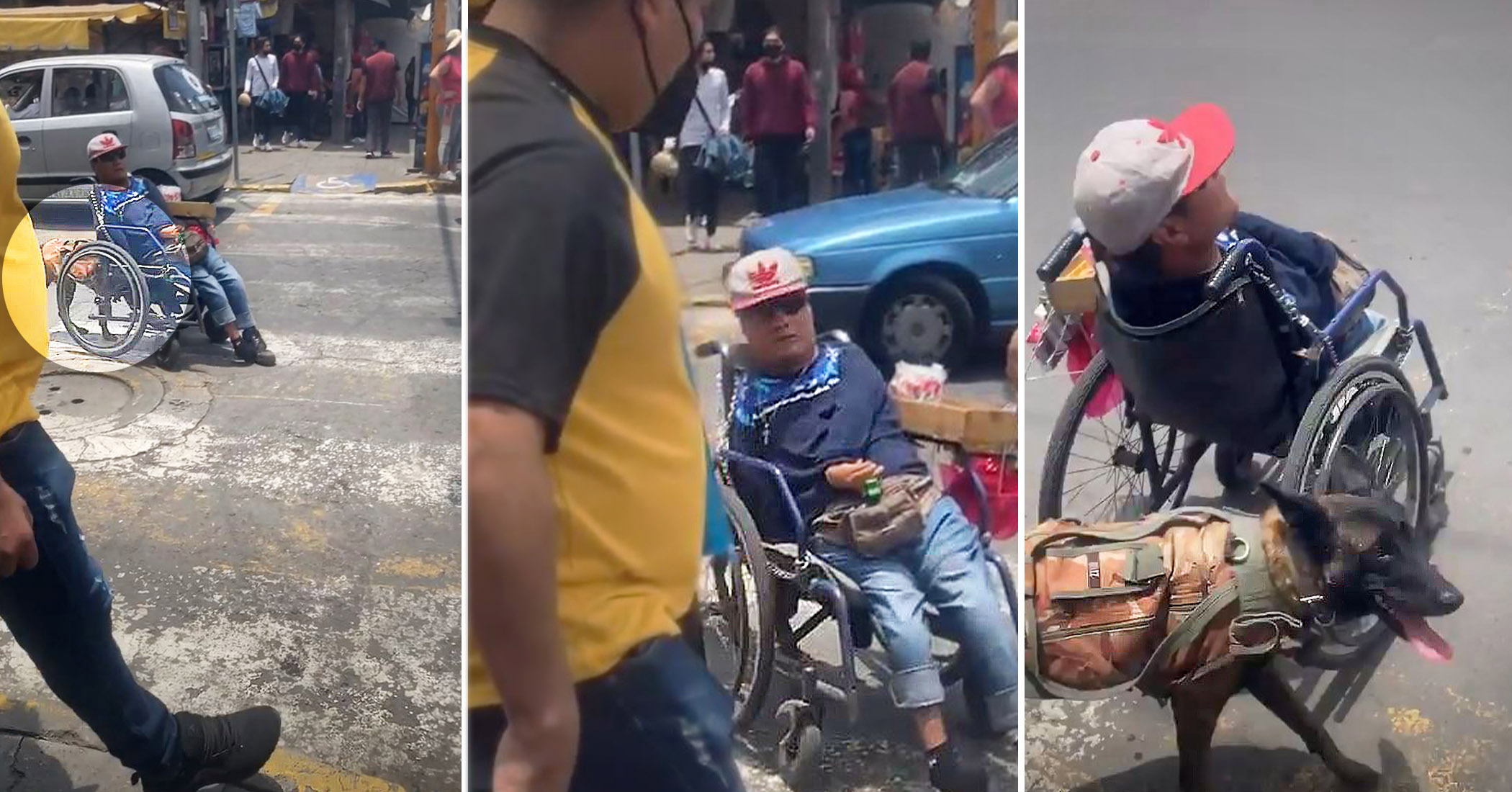 VIDEO Loyal K9 Amazingly Pushes Disabled Owner in Wheelchair Across