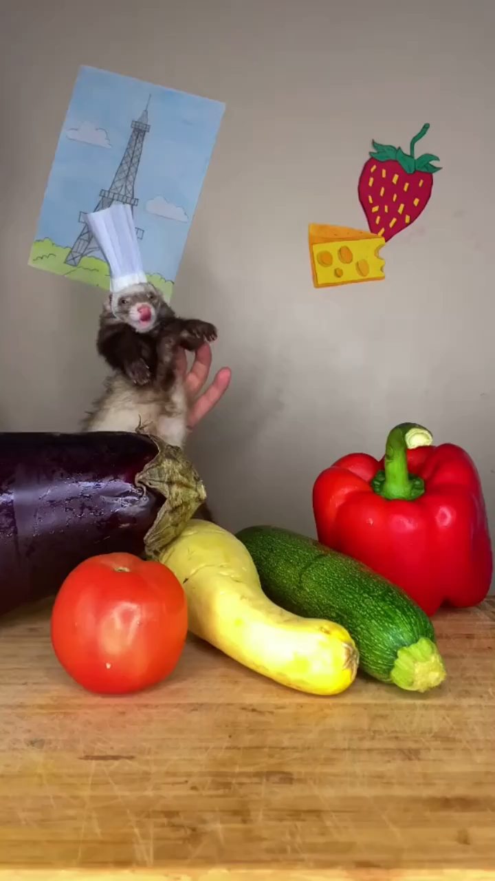 The Benefits Of Feeding Fresh Fruit To Your Ferret