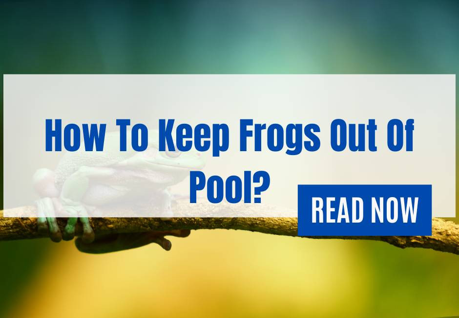 How To Keep Frogs Out Of Pool? Qunelia