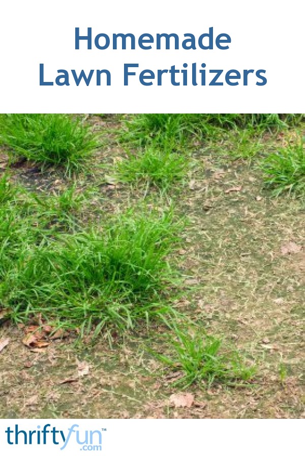 Homemade Lawn Fertilizer Recipes ThriftyFun
