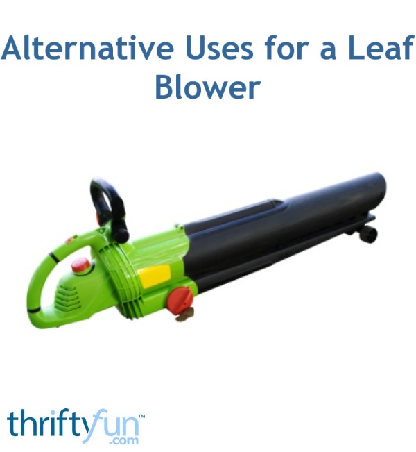 Alternative Uses for a Leaf Blower ThriftyFun
