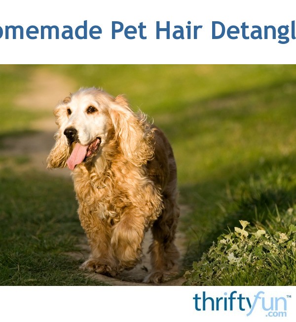 Homemade Pet Hair Detangler? ThriftyFun