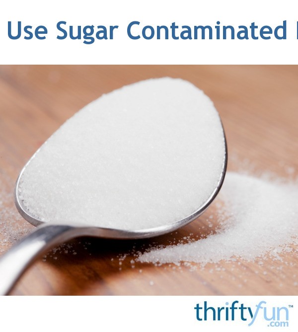 Can You Use Sugar Contaminated By Ants? ThriftyFun