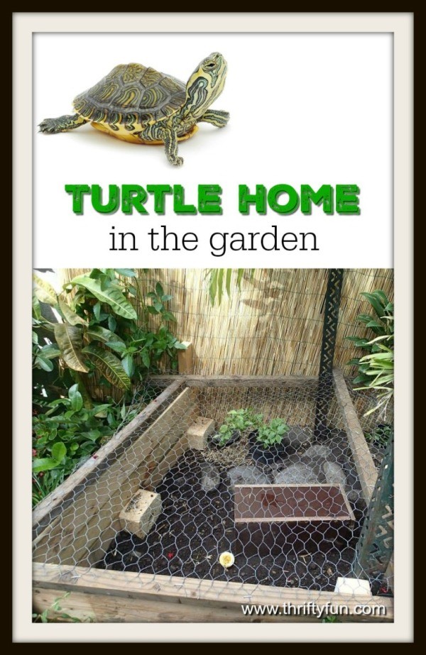 Building a Turtle Home in Your Garden ThriftyFun