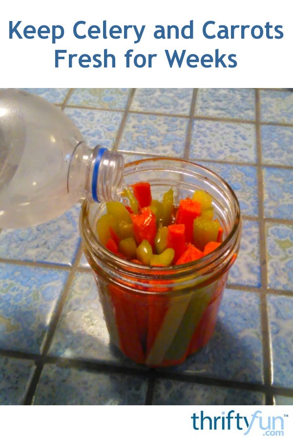 Keep Celery and Carrots Fresh for Weeks ThriftyFun
