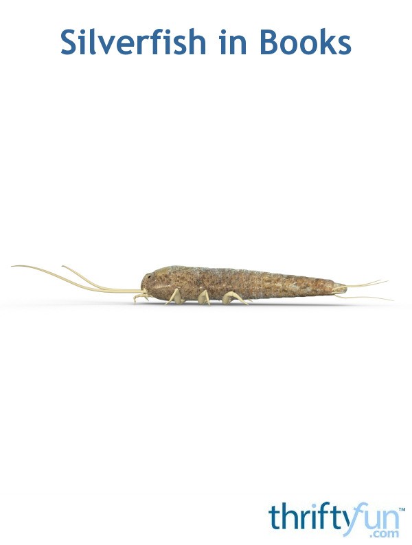 Silverfish in Books ThriftyFun