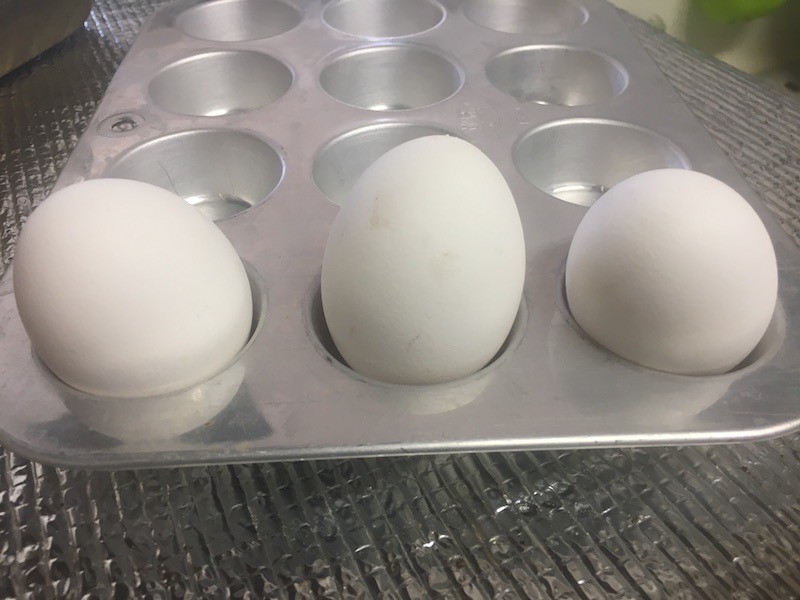 How to Make "Hard Boiled" Eggs in the Oven ThriftyFun