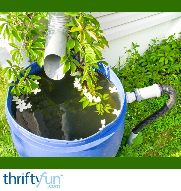 Watering Wisely ThriftyFun