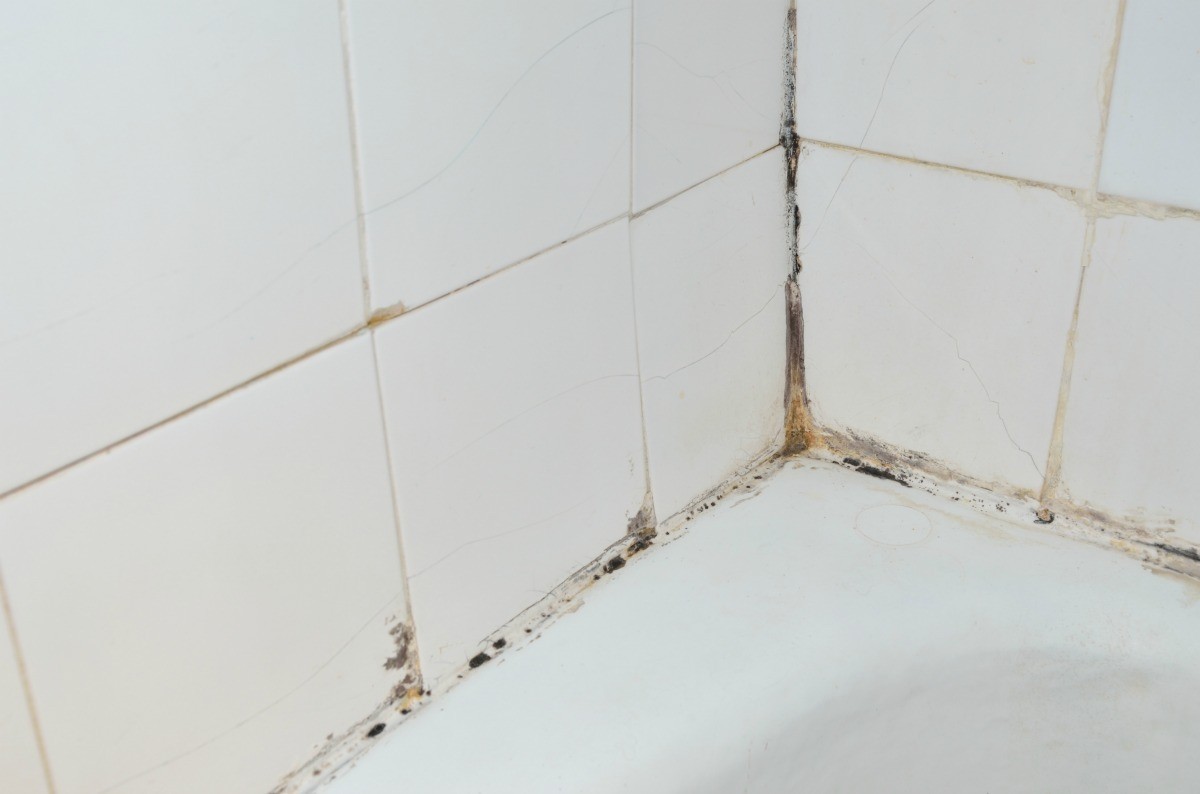 Preventing Mildew Around the Shower? ThriftyFun