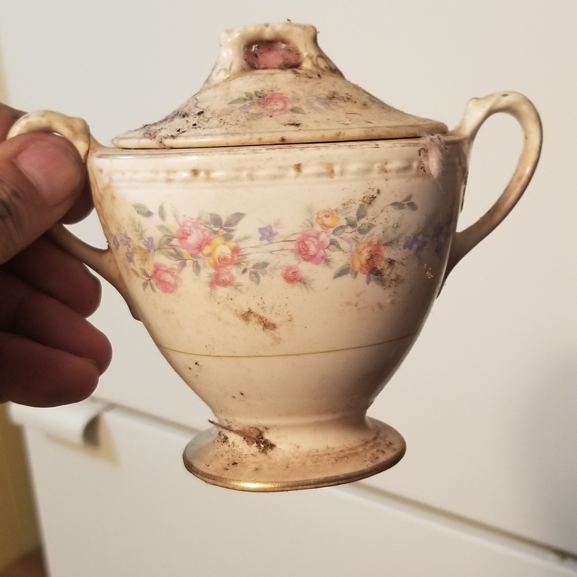 Value of Eggshell Homer Laughlin Dinnerware? ThriftyFun