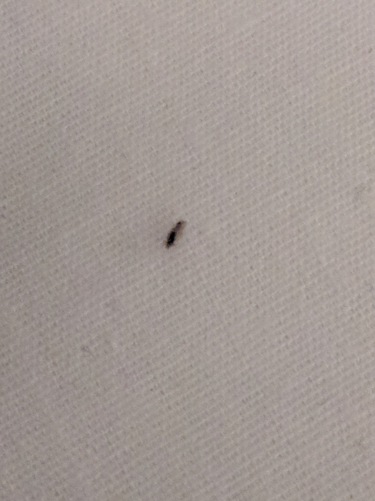 Getting Rid of Tiny Biting Black Bugs ThriftyFun