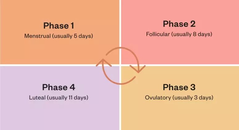 Cycle Syncing: Align Your Diet With Your Menstrual Cycle | Thrive Market