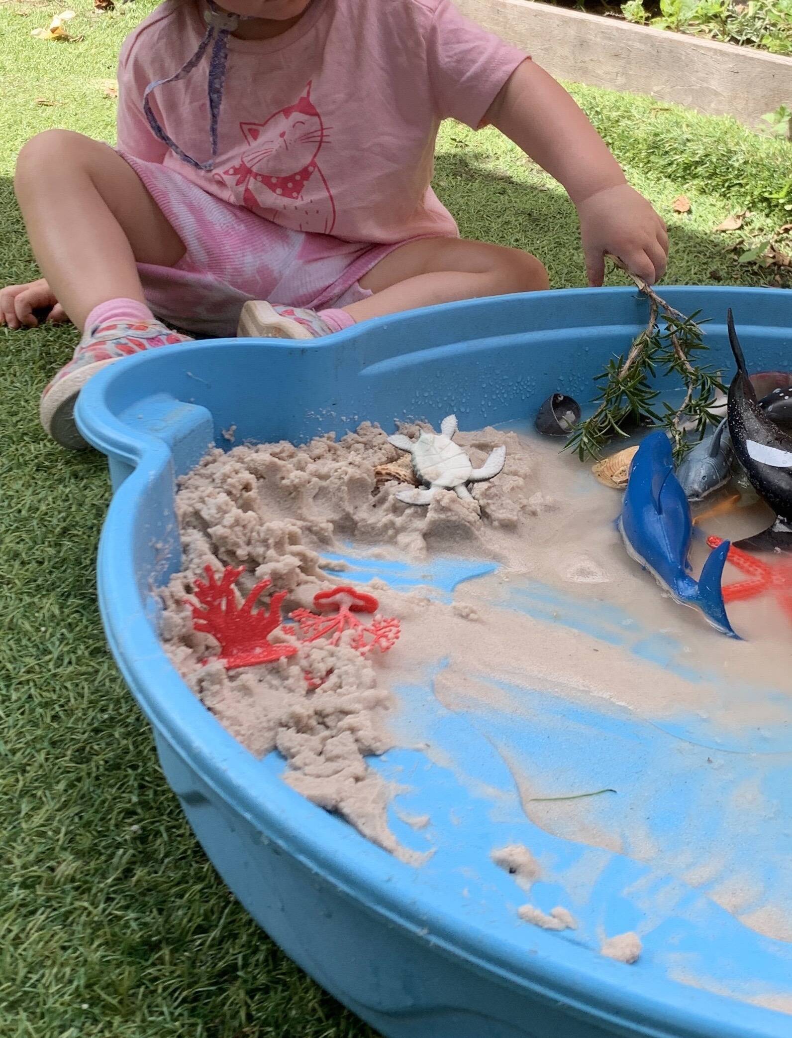 Vacancies at Little Red House Family Daycare Toddle