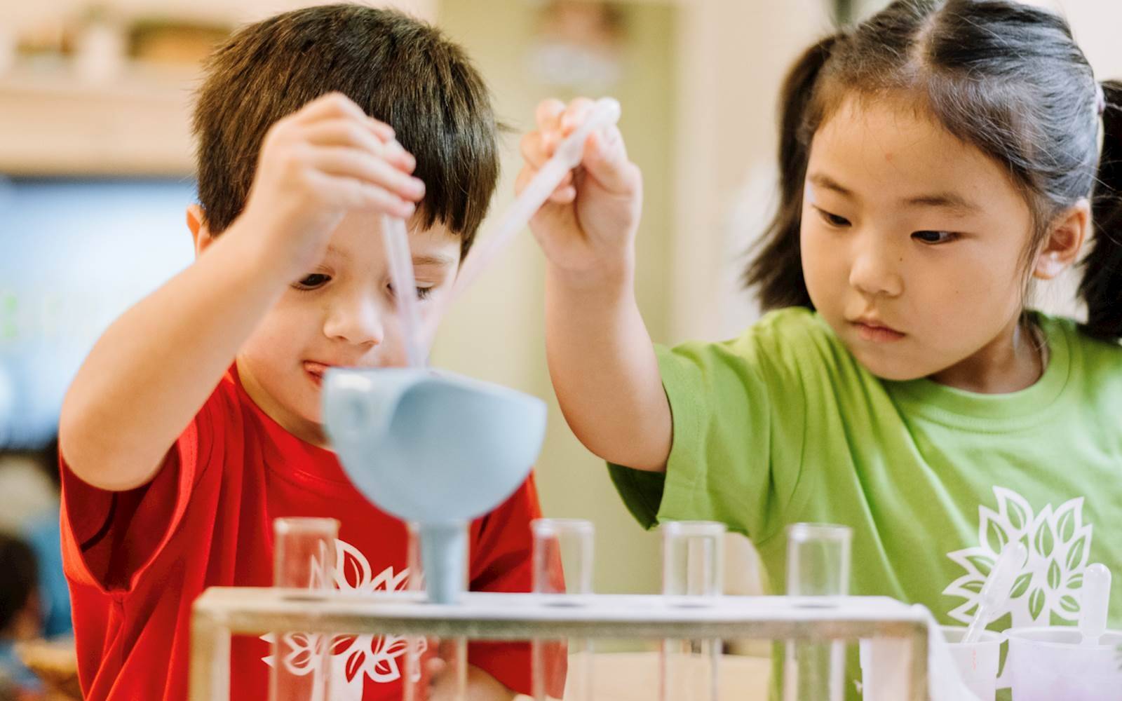 Perfect Beginnings Child Care Centre Holmead Road, Eight Mile Plains Toddle