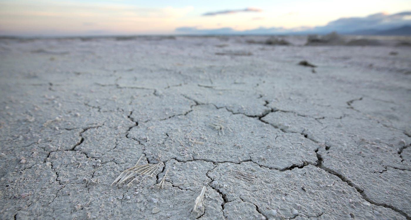 Are Oyster Shells Toxic?