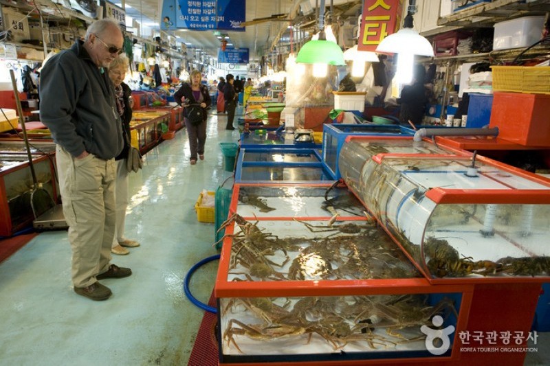 Jagalchi Market Live Fish Section 자갈치시장 활어부 TRIPPOSE