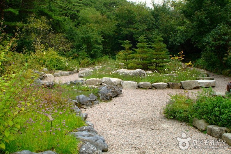 Korea Botanic Garden TRIPPOSE