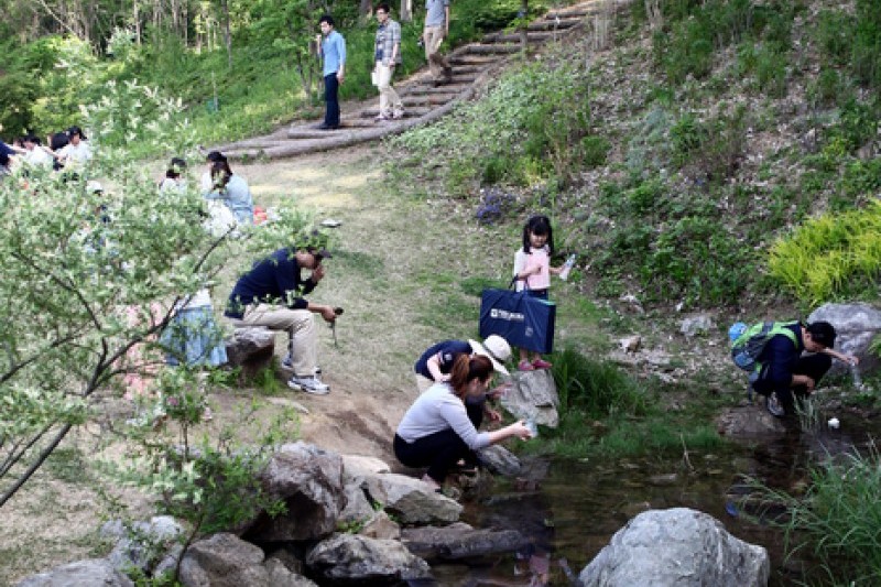 Jade Garden Natural Arboretum 제이드가든 수목원 TRIPPOSE