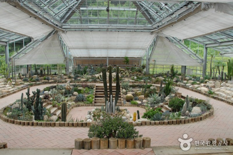 Yanggu EcoBotanical Garden 양구생태식물원 TRIPPOSE