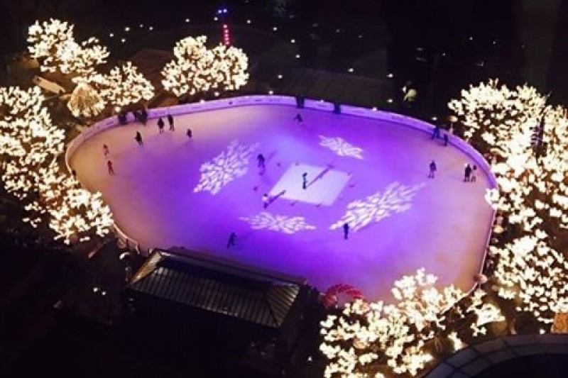 Grand Hyatt Seoul Ice Skating Rink TRIPPOSE