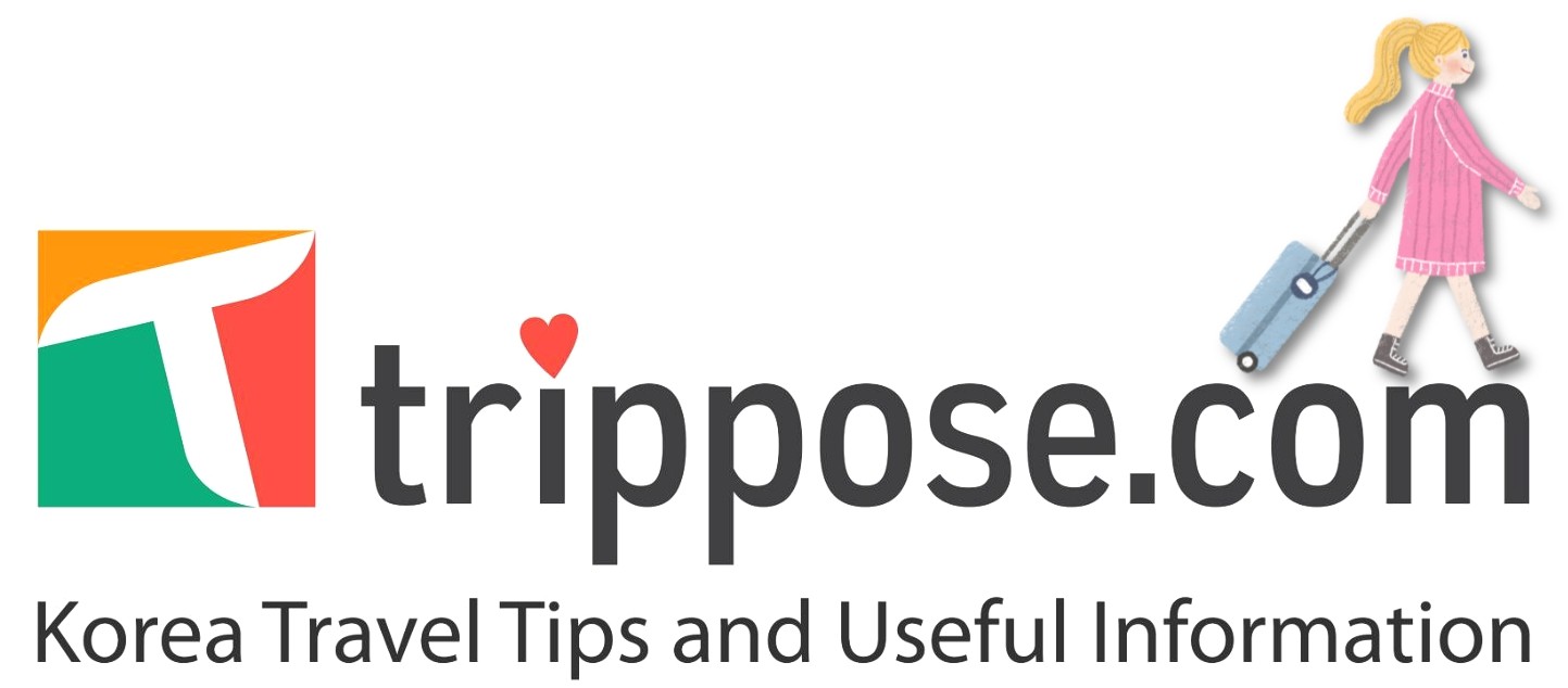 【立即確認】2024 Circle Chart 音樂獎 觀賞門票 2024 CIRCLE CHART MUSIC AWARDS Ticket 2024 써클차트 뮤직 어워즈(가온차트