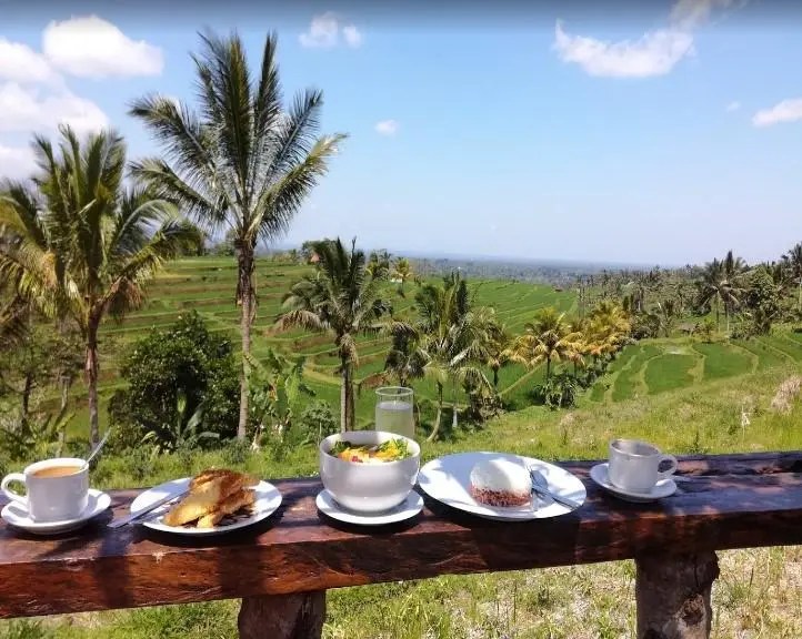 The Bali Bible Warung Dhea Jatiluwih
