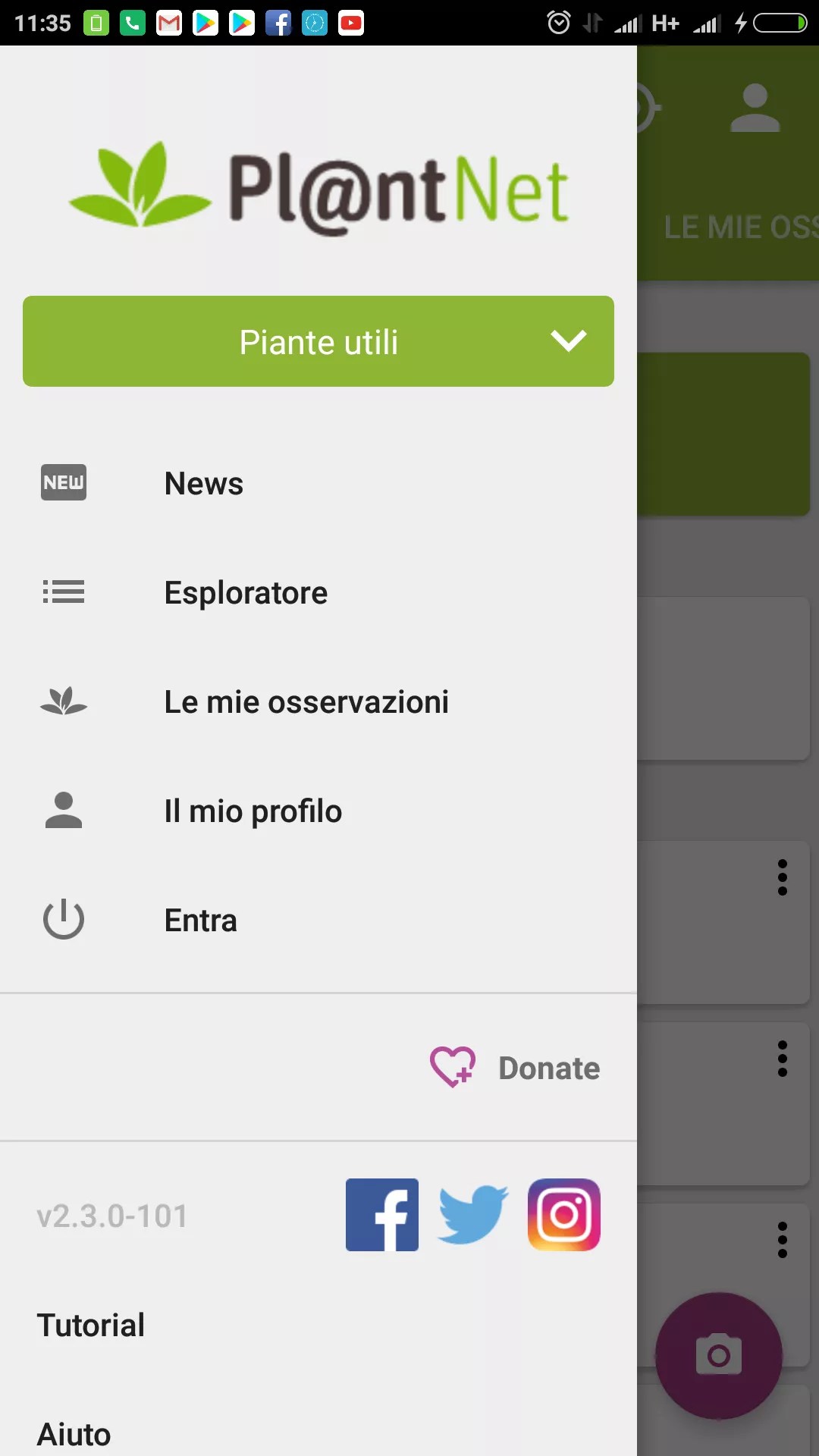 Plant Identification riconosce le piante