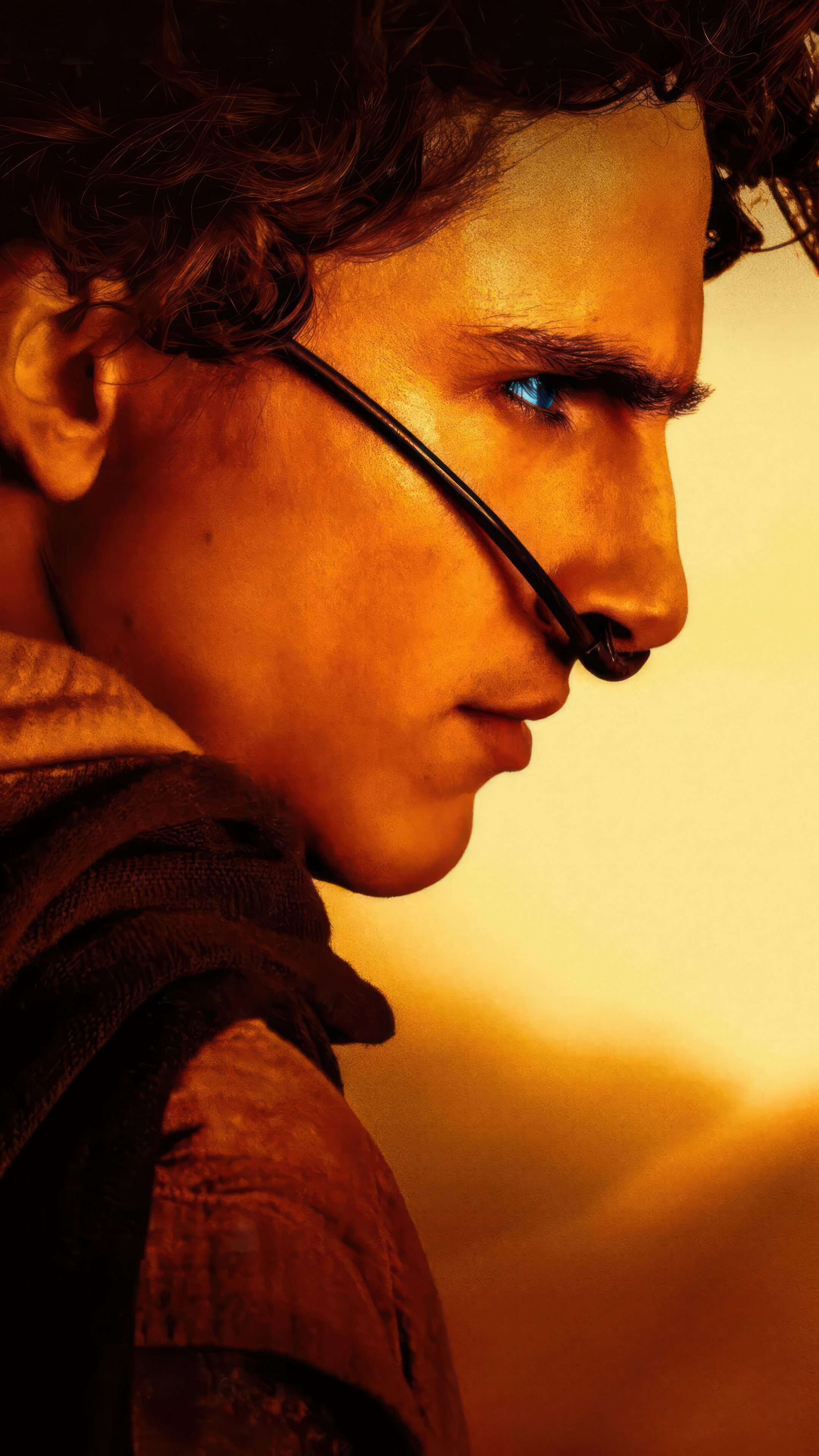 Dune Part 2 Timothee Chalamet 4k 3361n Wallpaper 4k Hd
