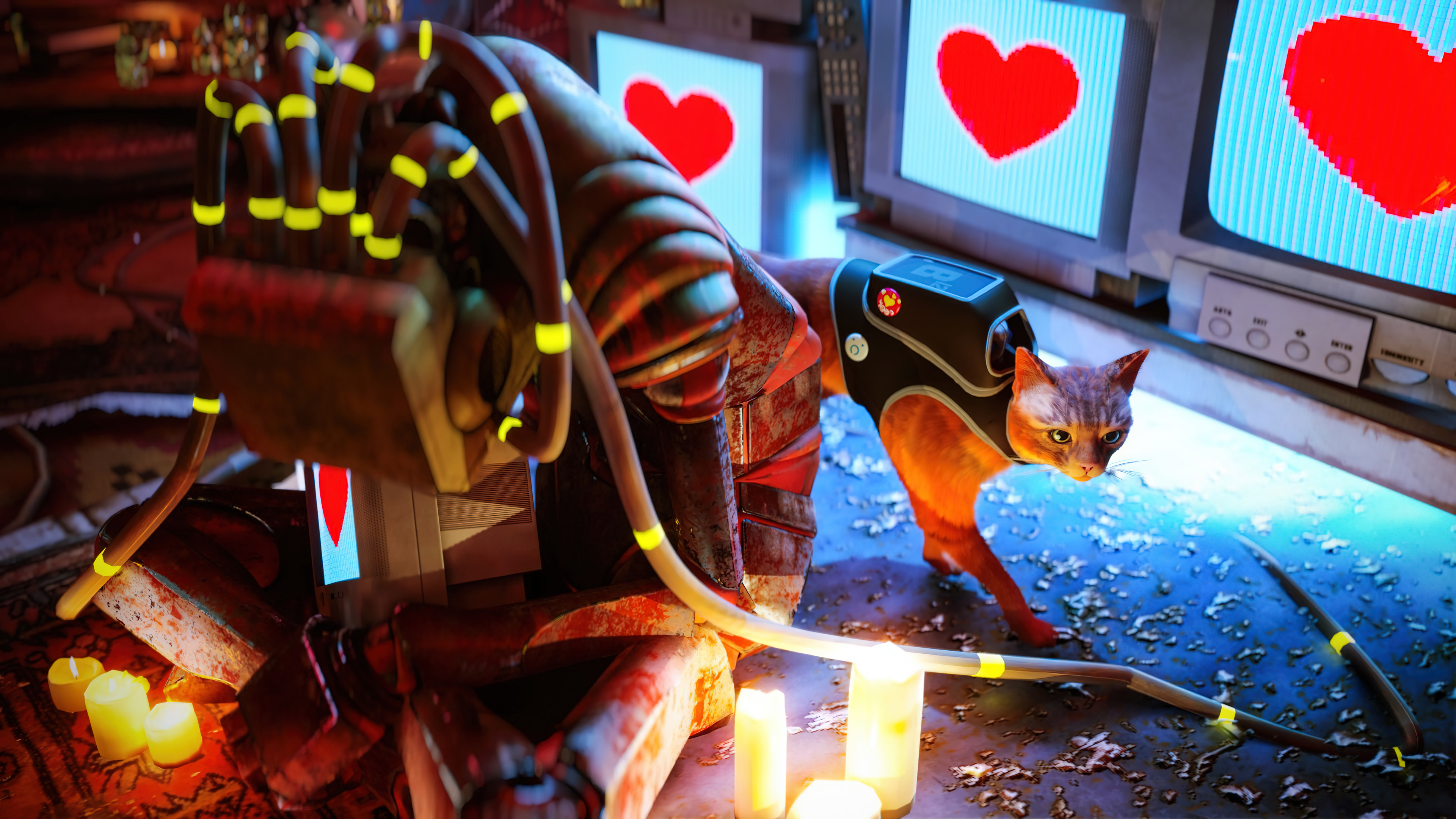 Stray Game 4K 5040h Wallpaper PC Desktop